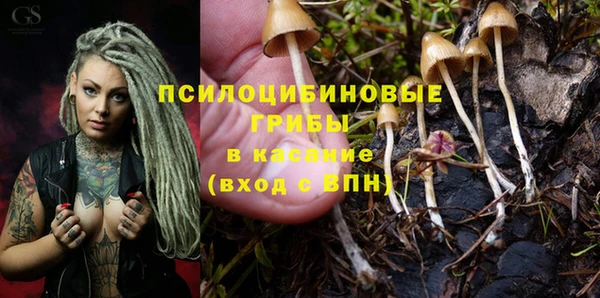 ECSTASY Абинск